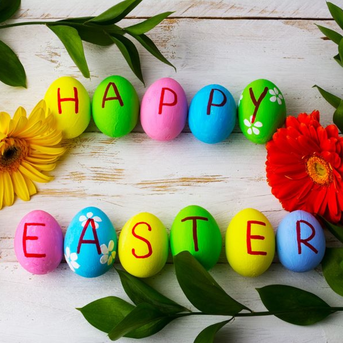 Easter break Holderness Academy